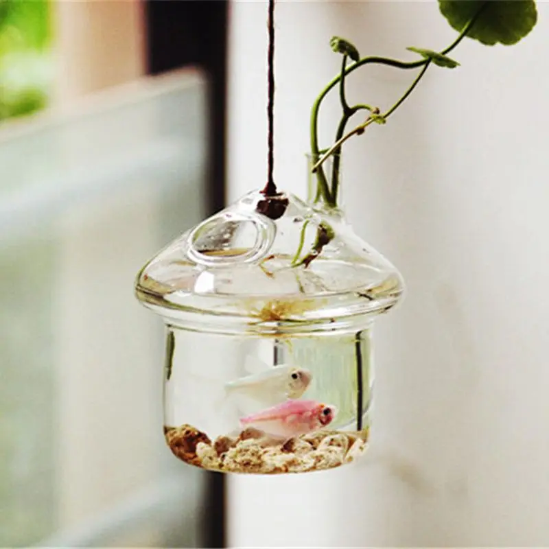Pilz-förmigen Hängenden Glas Pflanzer Vase Rumble Aquarium Terrarium Container-Home Garten Decor