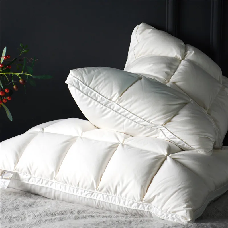 Enthalten 2Pcs 20x30 "Premium High End Natürliche Gans Unten Kissen für Schlafen Unten Kissen 100%