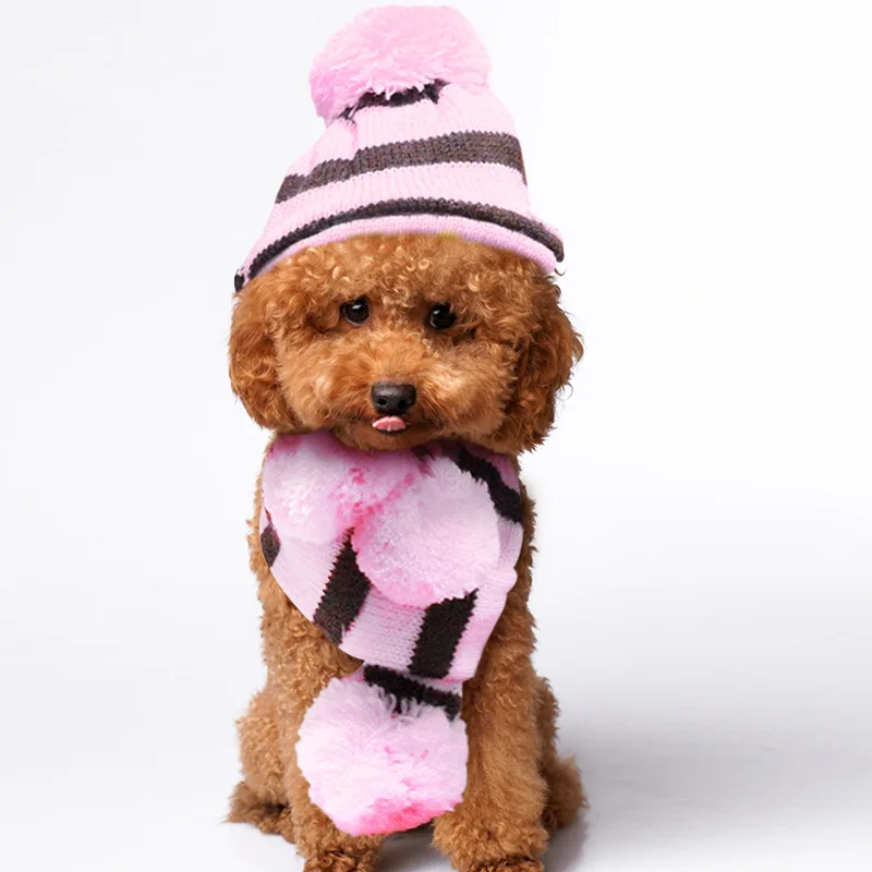 3 teile/satz Haustier Hunde mütze Chihuahua Mops pink · · Strick mütze Schal für kleine Hunde Winter