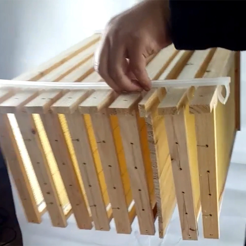 20PCS Bienenzucht Spacer Bar Festen Streifen Vermeiden Beehive Nest Box Rahmen Teiler Agitation