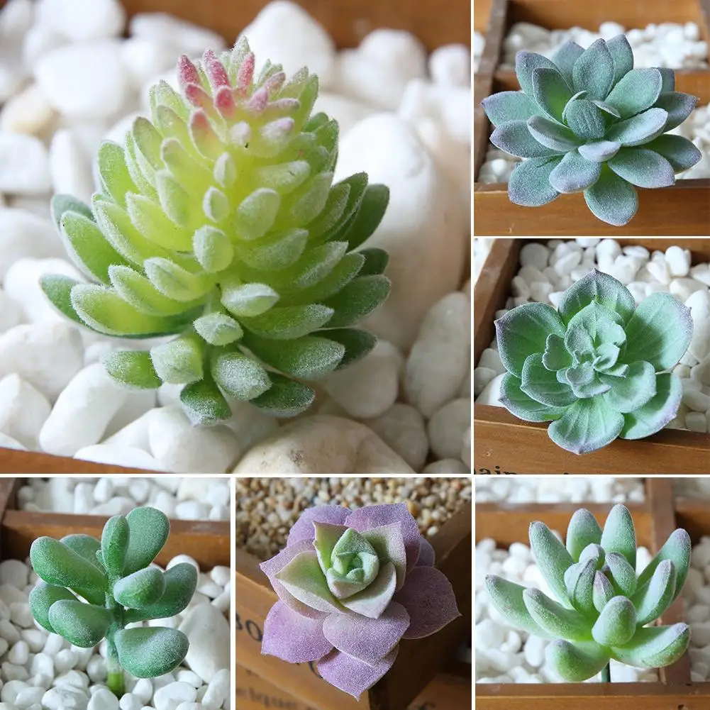 Neue Heiße Verkauf 1Pc Kunststoff Gefälschte Künstliche Sukkulenten Pflanze Bonsai Garten Home