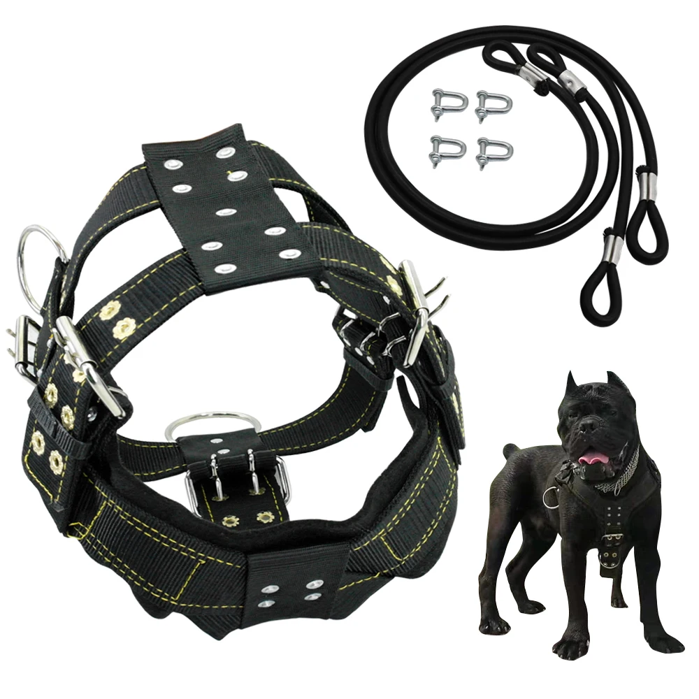 Durable Hund Gurt und Leine für Medium Large Hunde Heavy Duty Französisch Bulldog Harness Weste