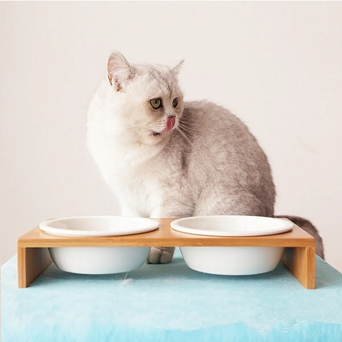 Katze Hund Feeder Bowl Pet Lebensmittel Wasser Schüssel 1/2 Schalen Keramik Geschirr Bambus Rahmen