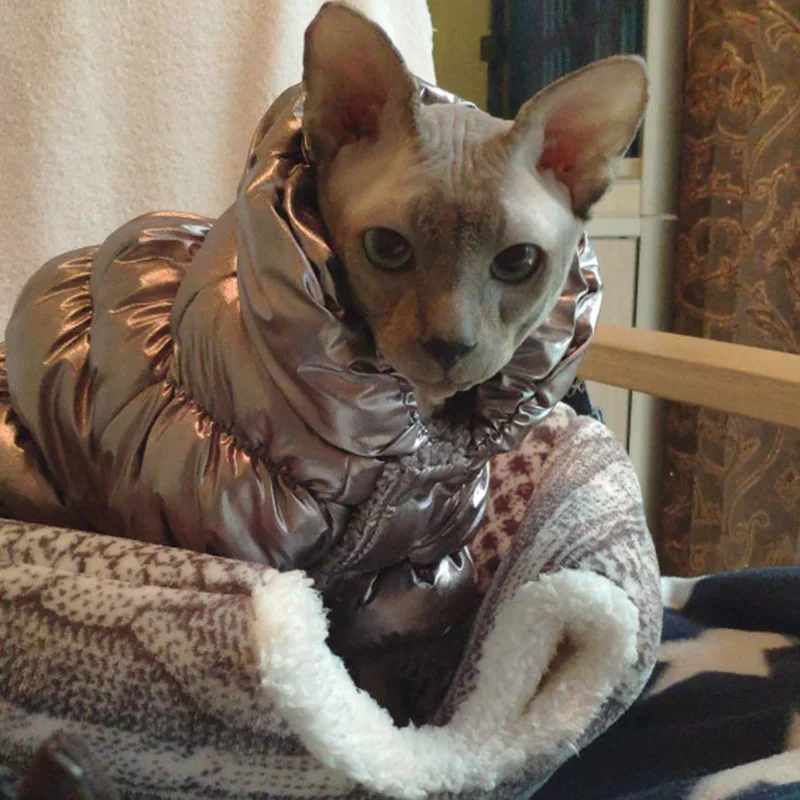 Warme Stephen Katze Jumpruist Kostüm für Katzen Winter Pet Kleidung Gotas Mascota Kleidung Katze