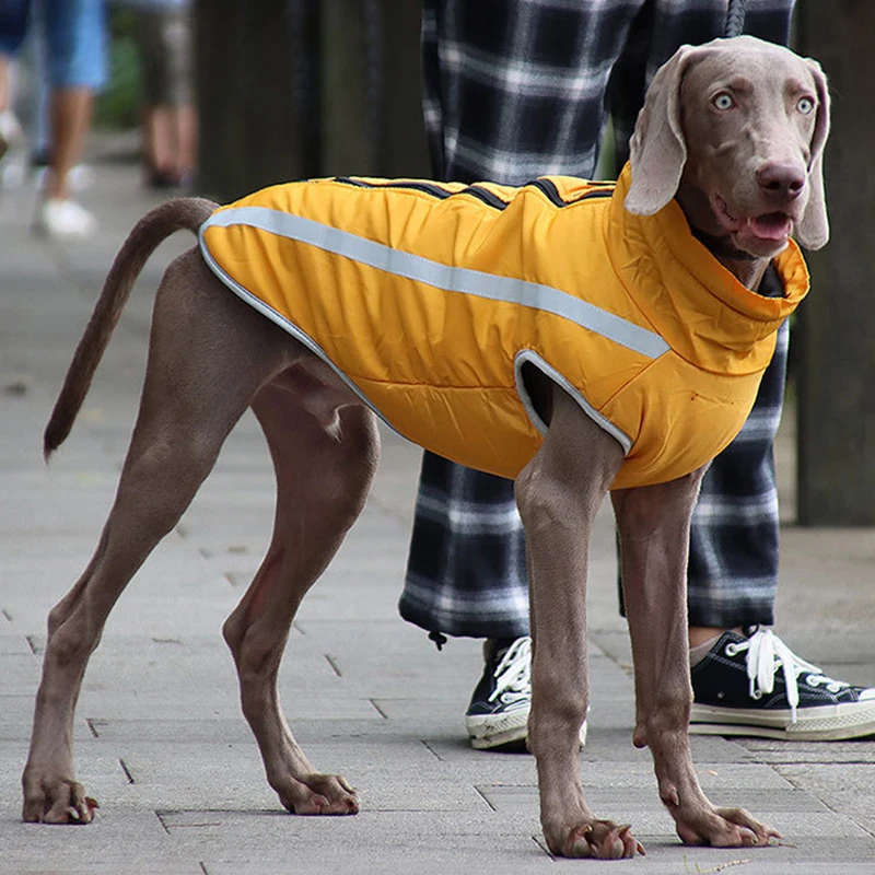 Reflektierende Haustier Hund Kleidung für Große Hunde Winddicht Große Hund Mantel Jacke Pitbull