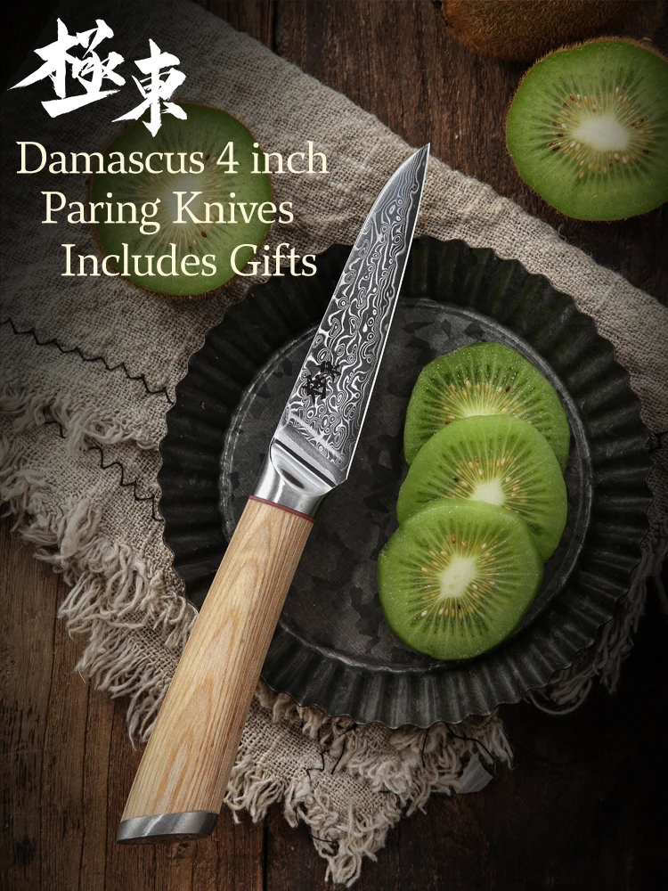 67-schicht stahl VG10 Damaskus küche messer koch Messer Gyuto Santoku Hackmesser Schäl Steak Slicing