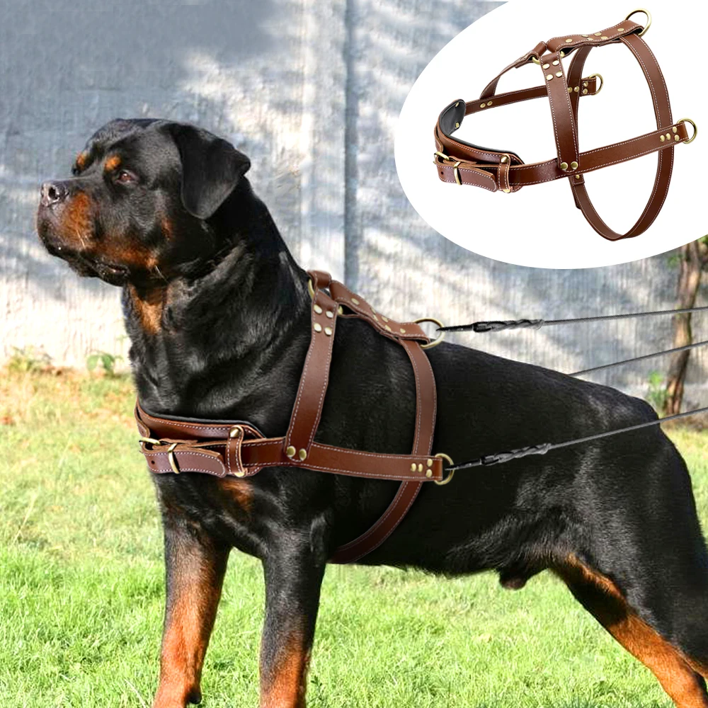 Echt Leder Hund Harness Pet Ausbildung Produkte Starke Ziehen Harness Weste Für Große Hunde Deutsch