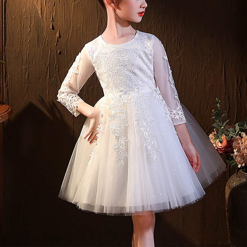 Kids Little Girls' Dress Jacquard Tulle Dress Wedding Birthday Mesh Lace SparkleKnee-length 3/4 Length Sleeve Princess Dres
