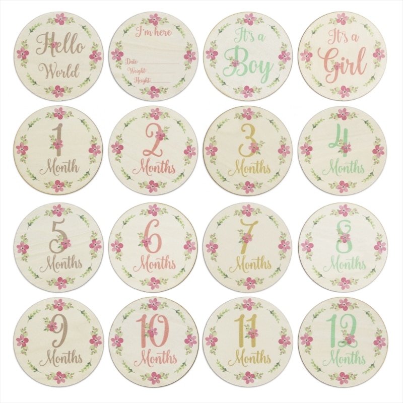 Baby Milestone Disks Monthly Milestone Cards Hello-World Milestone Cards