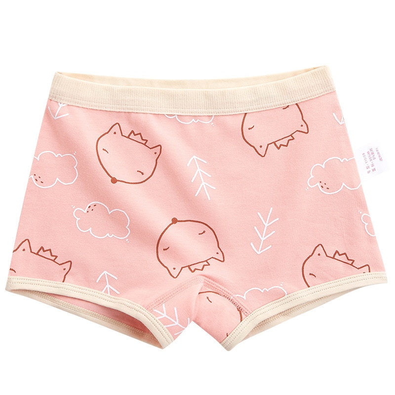 2pcs Summer New Girls Boxer Cotton Panties Briefs Breathable Soft Cartoon Animals Underwear for Young Girls Aged 3-8 Underpanti