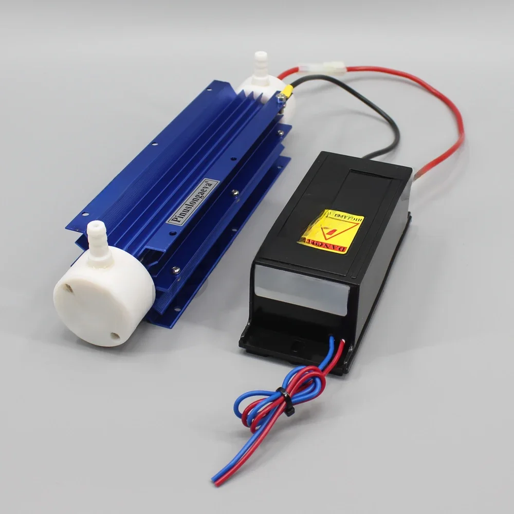 Pinus longaeva 10 GR/STD 10 gramm Spezielle preis Quarz rohr ozon generator Kit ozonator für