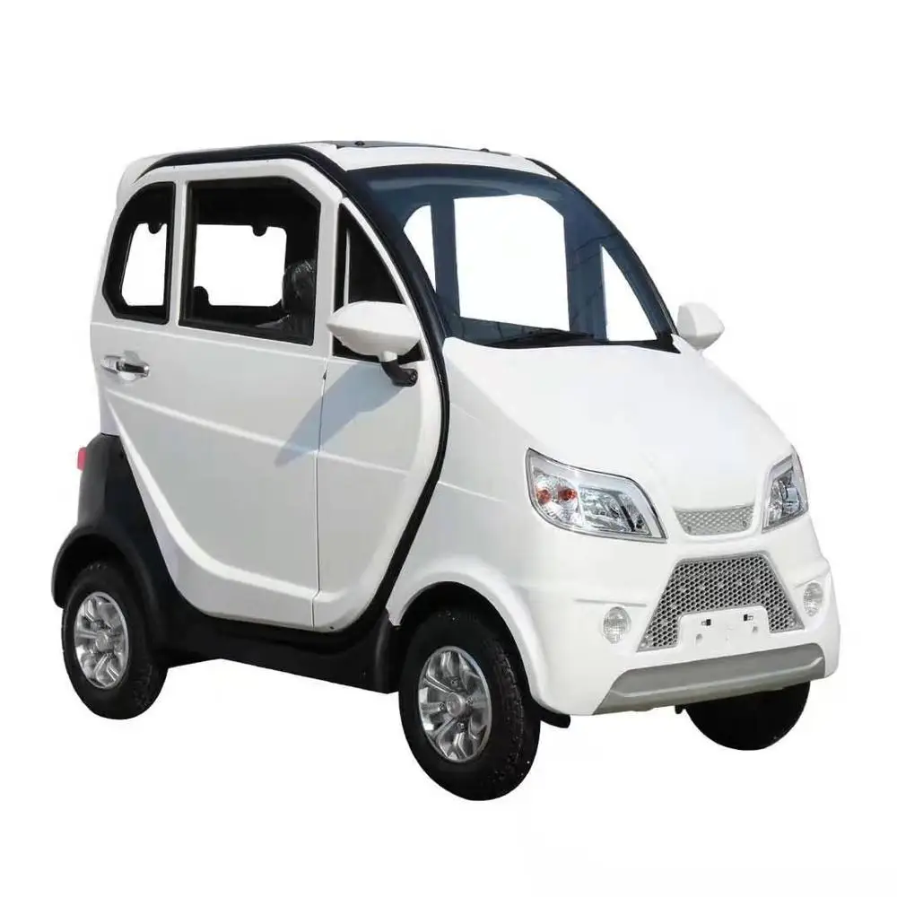 4 Wheel Motorcycle Electric Adult Vehicle for 2 People Mobility Scooter 2 Doors Enclosed Mini Car