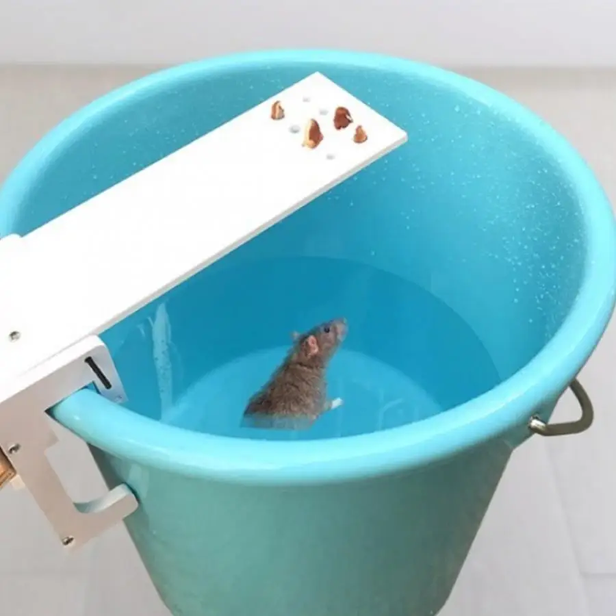 Home Garden DIY Pest Controller Rat Trap Quick Kill Seesaw Mouse Catcher Bait   Traps   Mice  mice