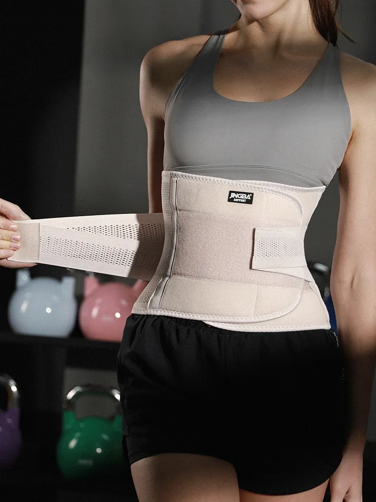 Universal Waist Belt  Lower Back Support for Back Pain  Adjustable Waist Trainer
