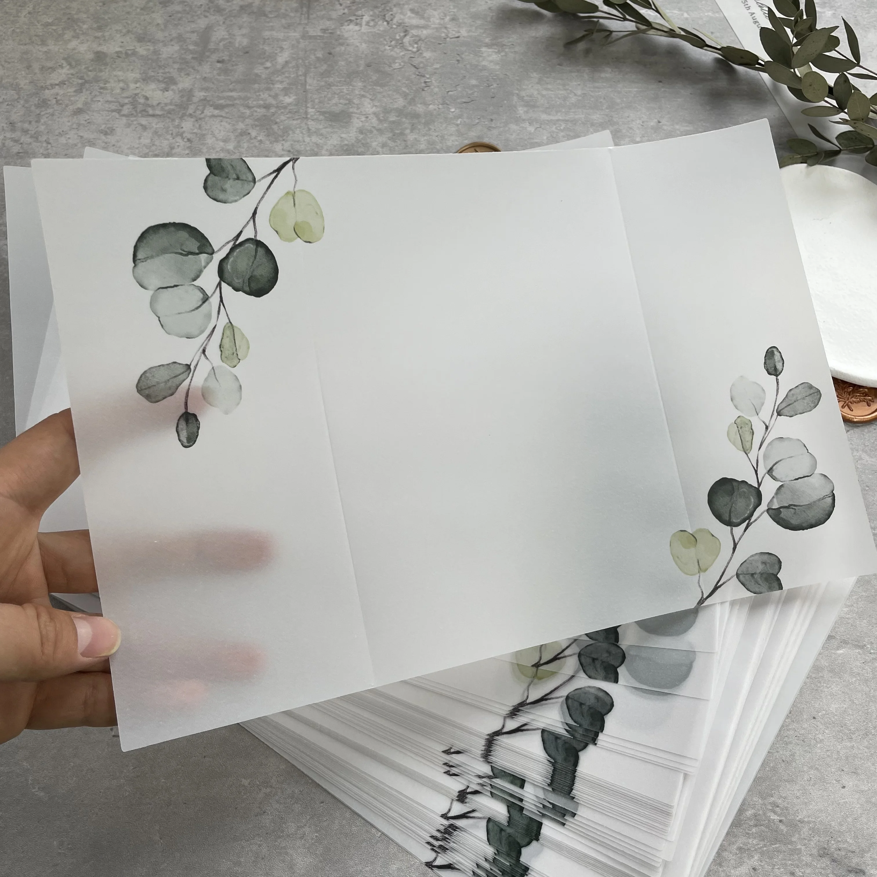 Eucalyptus Vellum  Wrap suitable for a 5 x 7 Wedding Invitation