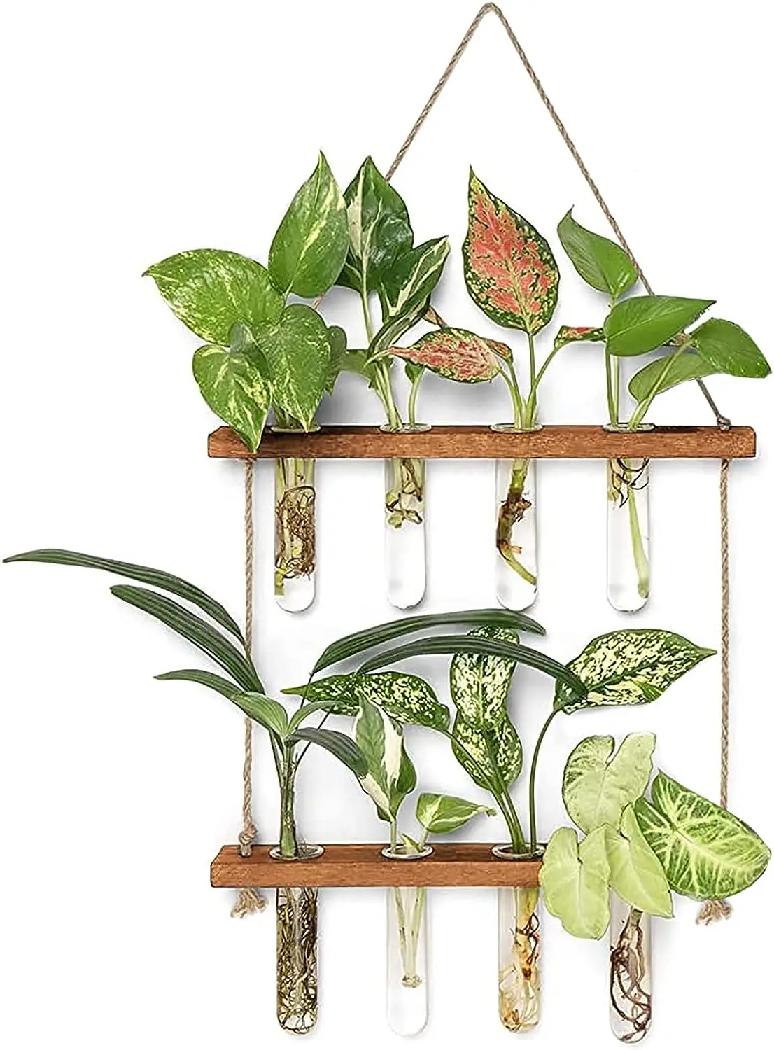 Wall Hanging Test Tube, Glass Planter Plant Vase with Wooden Stand & Strings Rope, Glass Planter