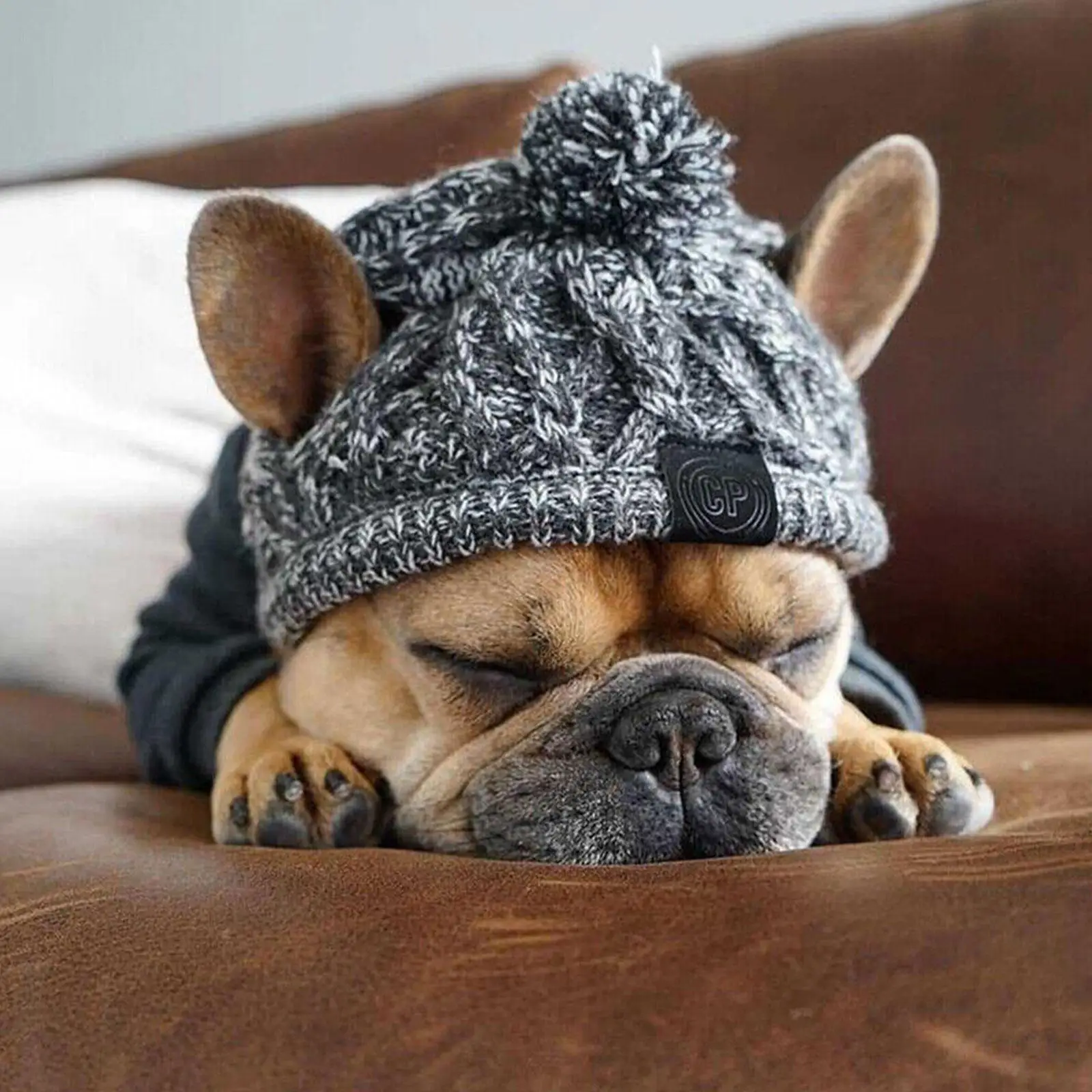 Winter Warm Dog Hats Windproof Knitting French Bulldog Hat For Dogs Chihuahua Hat Fluffy Ball Pet