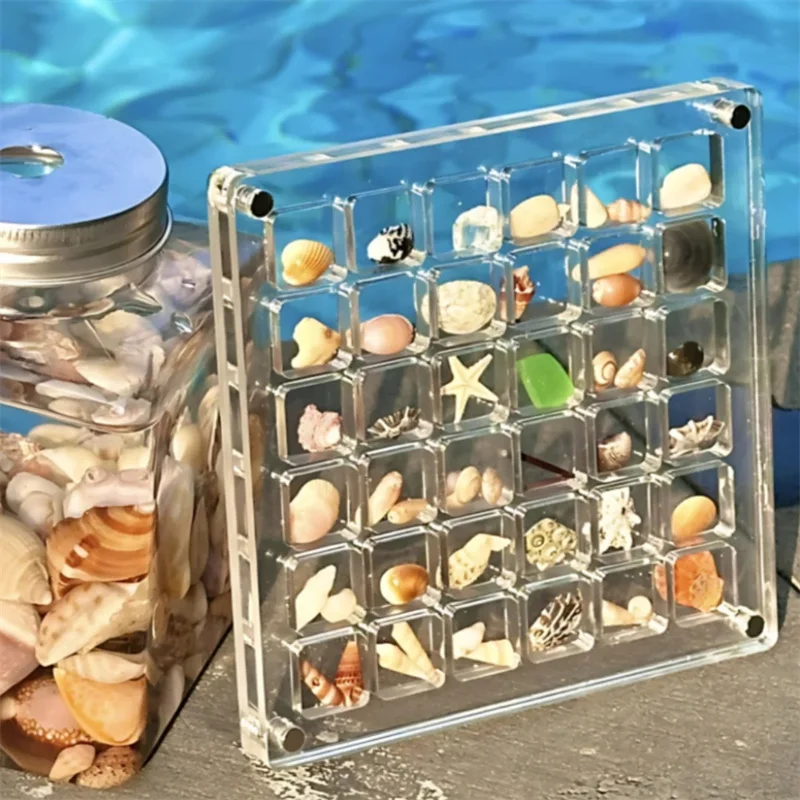 36 64 100-fach Shell Organizer klare Acryl Magnets chale Aufbewahrung rahmen Rock Display Box für Perlen Sammlung