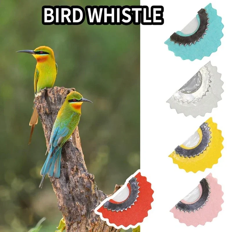 Vogelpfeife Magic Fun Vogelrufer Zungenpfeife Grasker Original Magic Tweeting Krachmacher Spielzeug