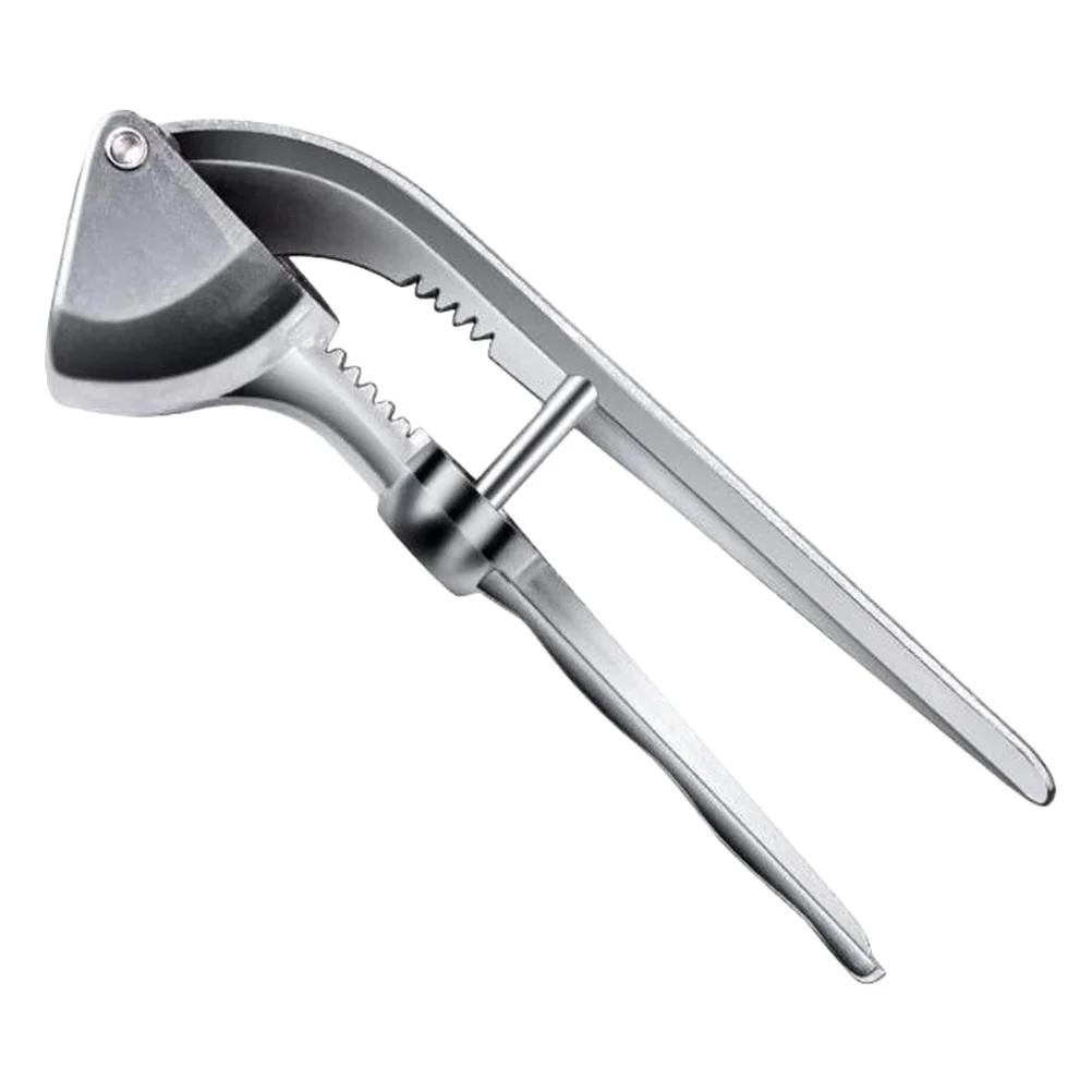 Knoblauch Prise Entsafter Slicer Metall Küchengerät Edelstahl Werkzeug maschine Presse Baby Handbuch
