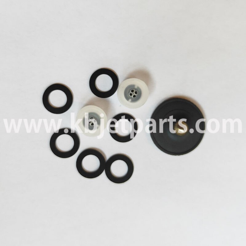 Refurbish kit for main pump use for KBA Metronix into Alaphjet inkjet coding printer