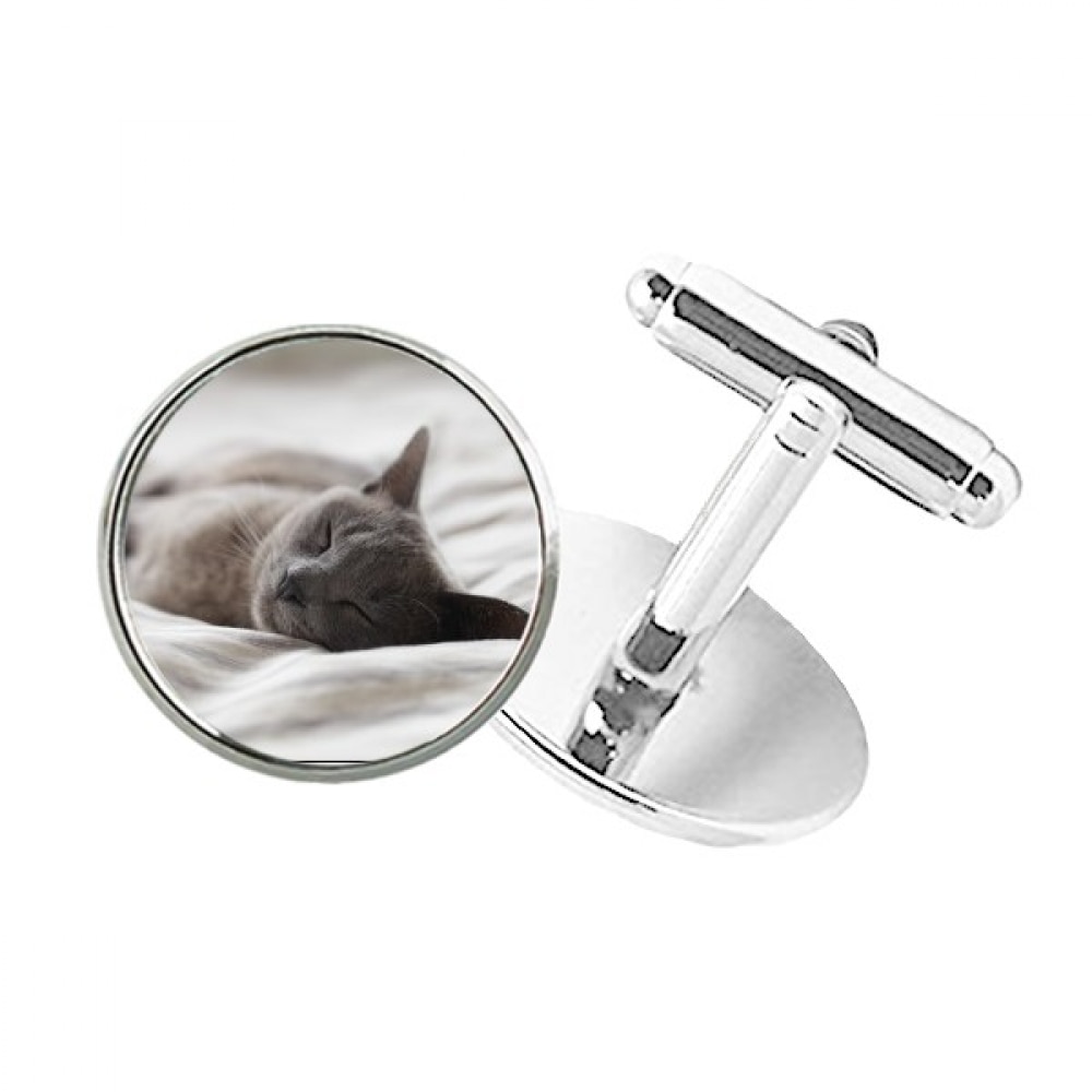 Animal Cute Gray Cat Photograph Shoot Round Button Cuff Clip Stud Cufflinks