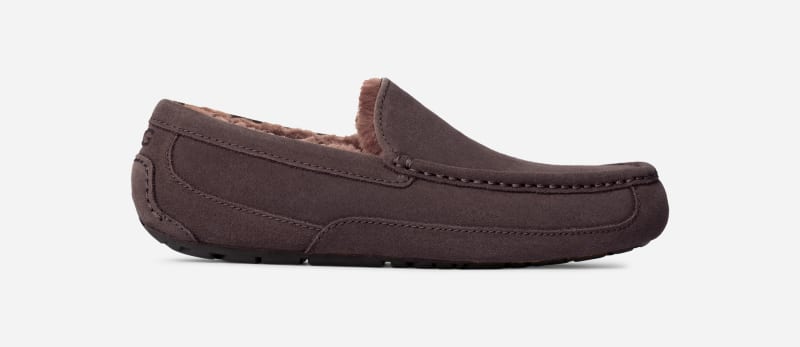 UGG® Ascot Slipper for Men in Dusted Cocoa, Size 16, Suede