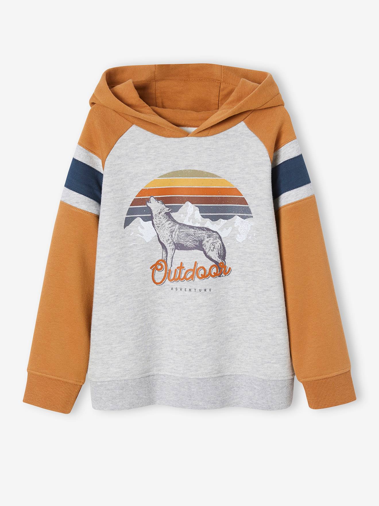 Hoodie with Graphic Motif & Raglan Sleeves, for Boys pecan nut