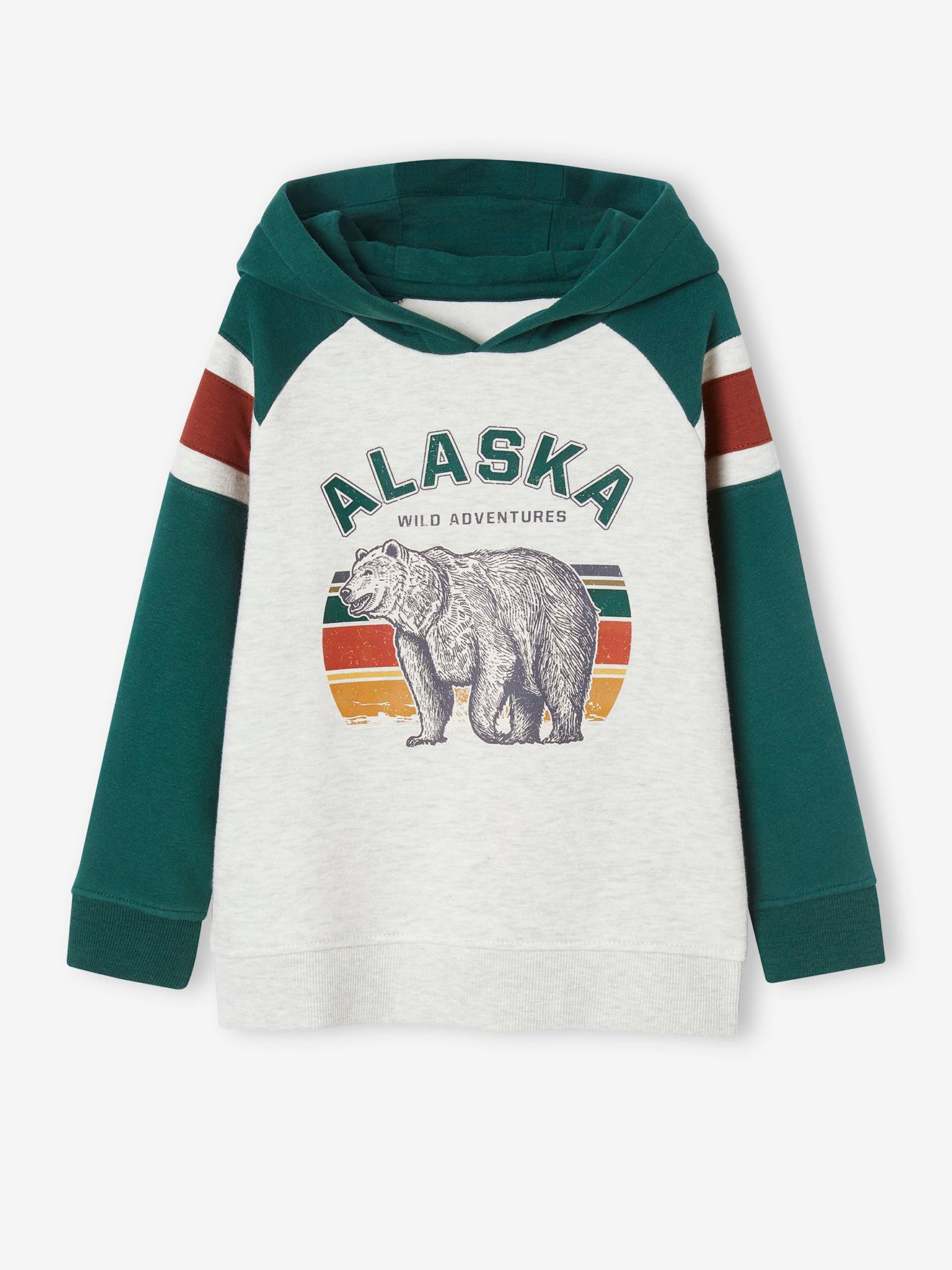 Hoodie with Graphic Motif & Raglan Sleeves, for Boys english green