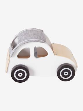 Car for Their Little Friends multi