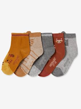 Pack of 5 Pairs of Animals Socks, Oeko-Tex® multi