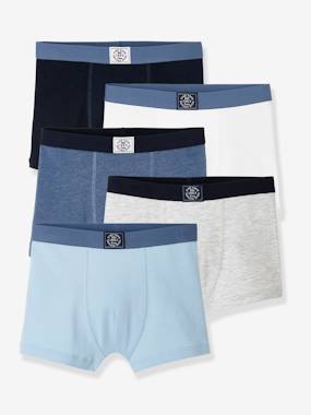 Pack of 5 Boxers for Boys blue