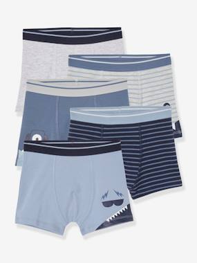 Pack of 5 Monster Boxers for Boys blue