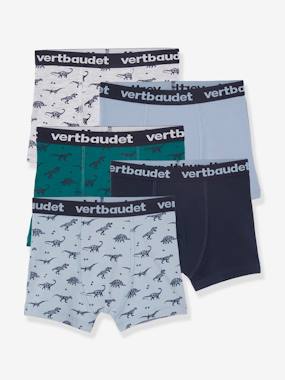 Pack of 5 Stretch Boxers for Boys, Dinosaurs light grey/print