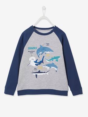 Sweatshirt with Sharks & Raglan Sleeves for Boys grey
