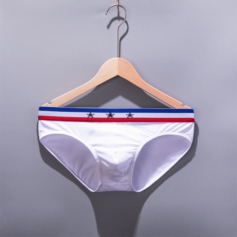 2021 Brand Underpants Man Slip Gay Lingerie Cotton Pouch Briefs For Men Underwear Sexy Homme Bamboo Fiber Panties Mens Briefs