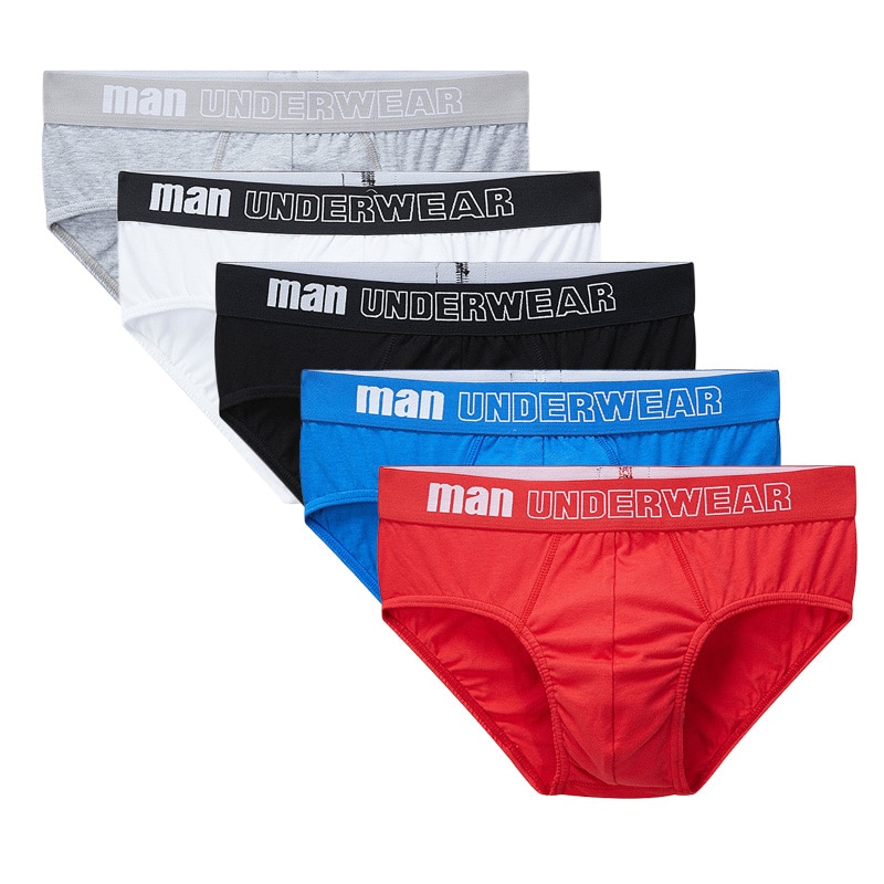 5 pcs/lot Mens Underwear Briefs for Men Calzoncillos Hombre Cotton Male Underpants Mens Underware Man Pouch Brief