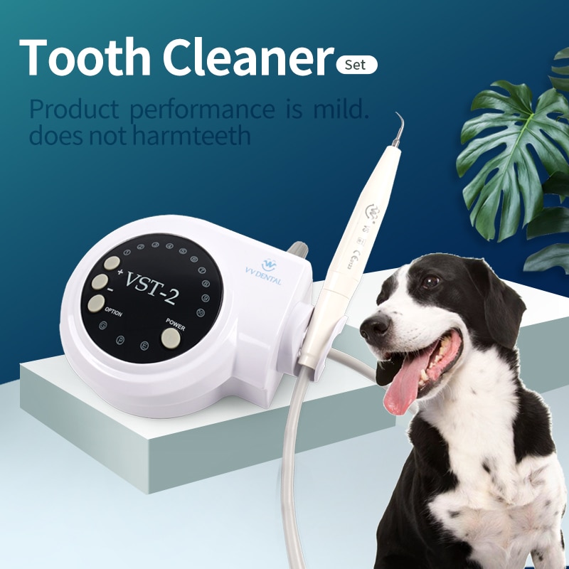 Pet Scaler Dental Instruments Kits With 5 Tips Oral Hygiene Equipment Kit Fit Satelec Dte стиральная машина for Teeth Clean