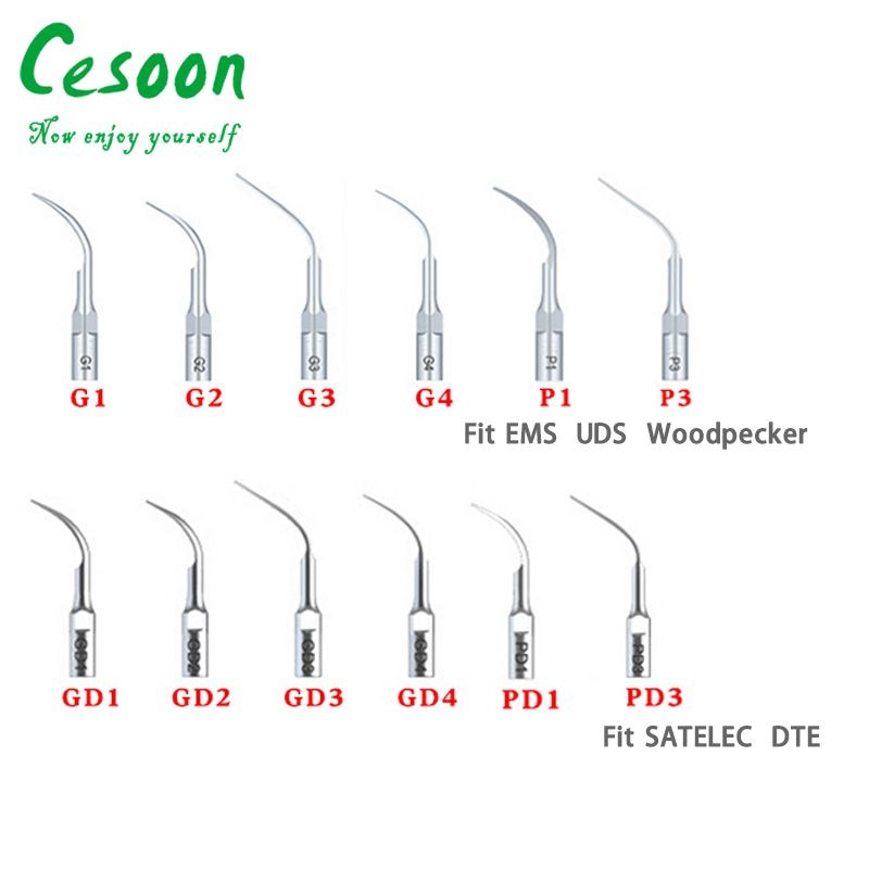 5Pcs Ultrasonic Dental Scaler Tip Perio Fit DTE Woodpecker SATELEC EMS Handpiece Scaling G1 G2 G3 G4 P1 P3 GD1 GD2 GD3 GD4 PD1