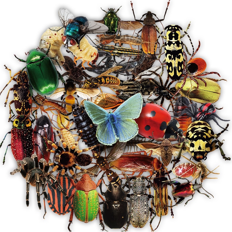 50pcs Nature Insect Stickers Funny Animal Butterfly Spider DIY Waterproof Decals Kids Toy Phone Luggage Laptop Car Sticker