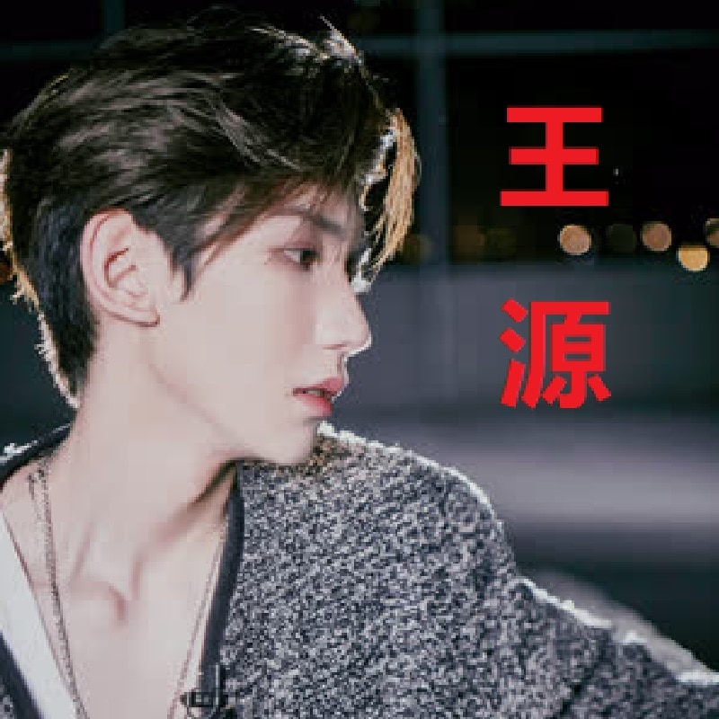 Chinese Young Fashion Pop Music China Male Singer Roy Wang Yuan 200 Songs Album Collection MP3 Songs