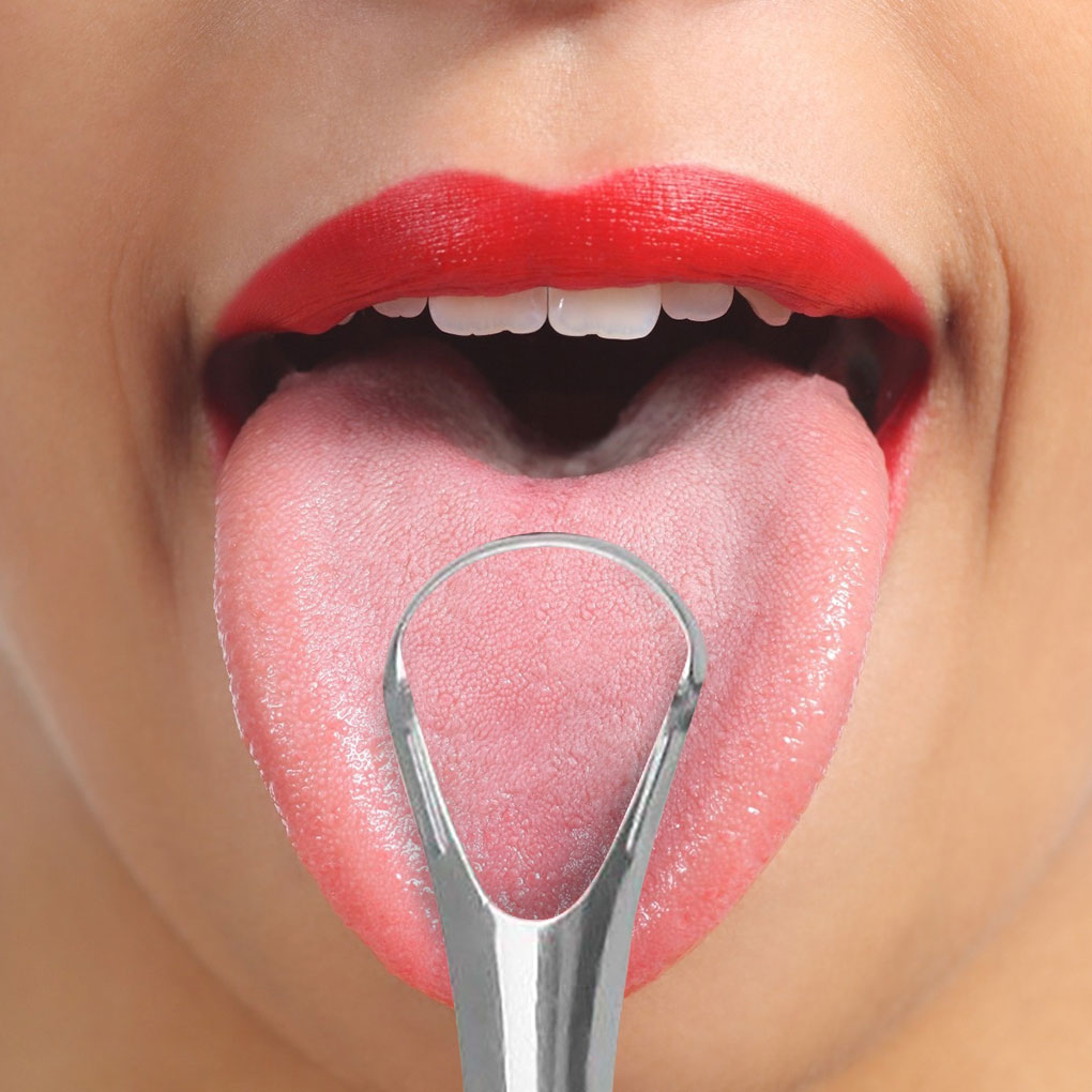 Stainless Steel Tongue Scraper Cleaner Fresh Breath Cleaning Coated TongueToothbrush Oral Hygiene Care Tools，Dropshipping