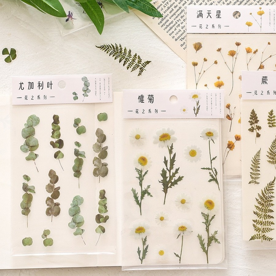 Mr. Paper 12Styles Beautiful Plant Flower PET Sticker Literary DIY Hand Account Decorative Material Stickers for Kids Stationery