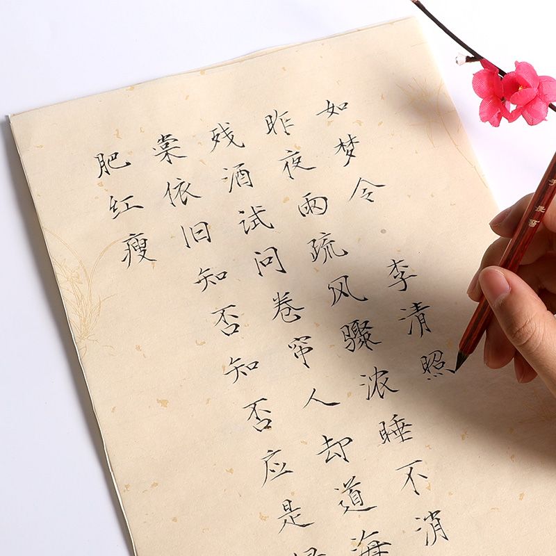 Shoujinti Copybook Chinese Brush Calligraphy Copybook Song Huizong Calligraphy Brush Pen Copybook Half Ripe Xuan Paper Copybooks