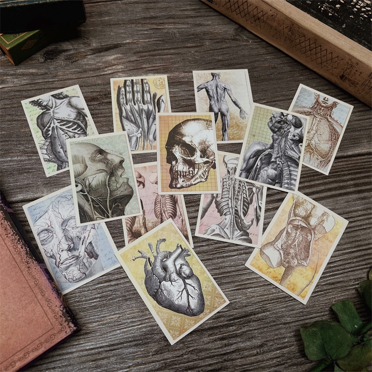 Retro Dark Anatomy Junk Journal Stickers Decorative Stationery Sticker DIY Planner Diary Scrapbooking Album Stickers