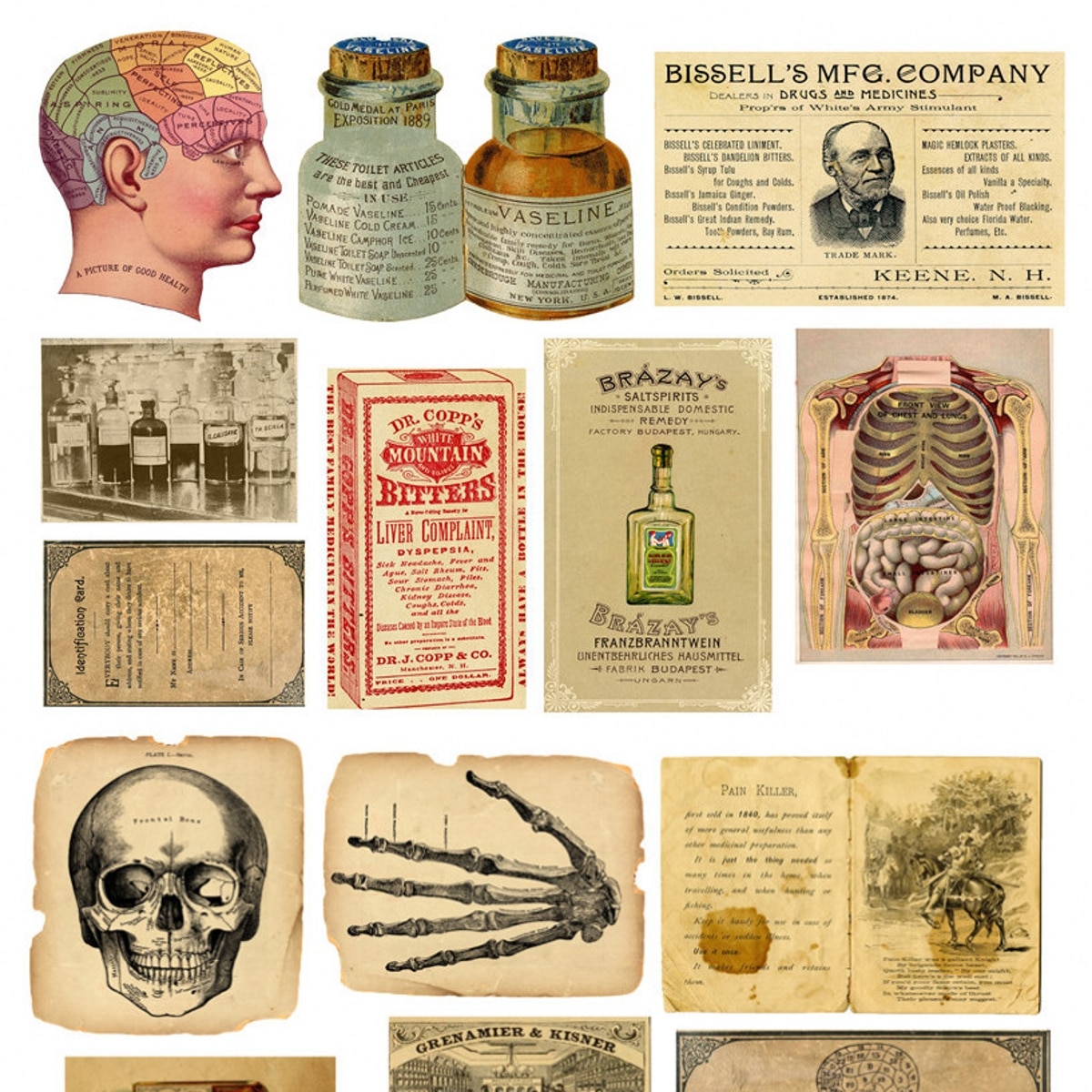 23Pcs/Pack Retro Medical Laboratory Skeleton Skull Vintage Sticker DIY Craft Scrapbooking Album Junk Journal Decorative Stickers