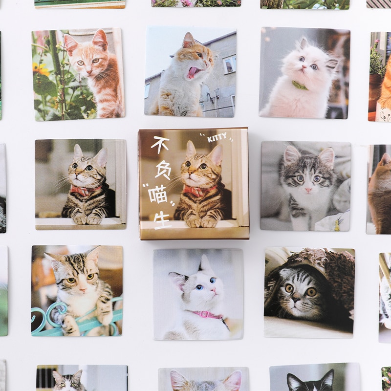 46 Sheets/box Cute Animal Kitty Cat Decoration Stickes DIY Scrapbooking Journal Phone Case Photo Album Stickers Stationery