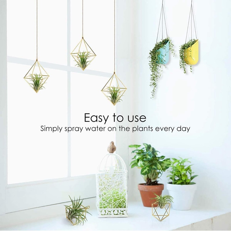 10 Packs Air Plant Holder Mini Metal Tabletop Himmeli Decor Modern Geometric Planter Tillandsia Air Fern Display Stand