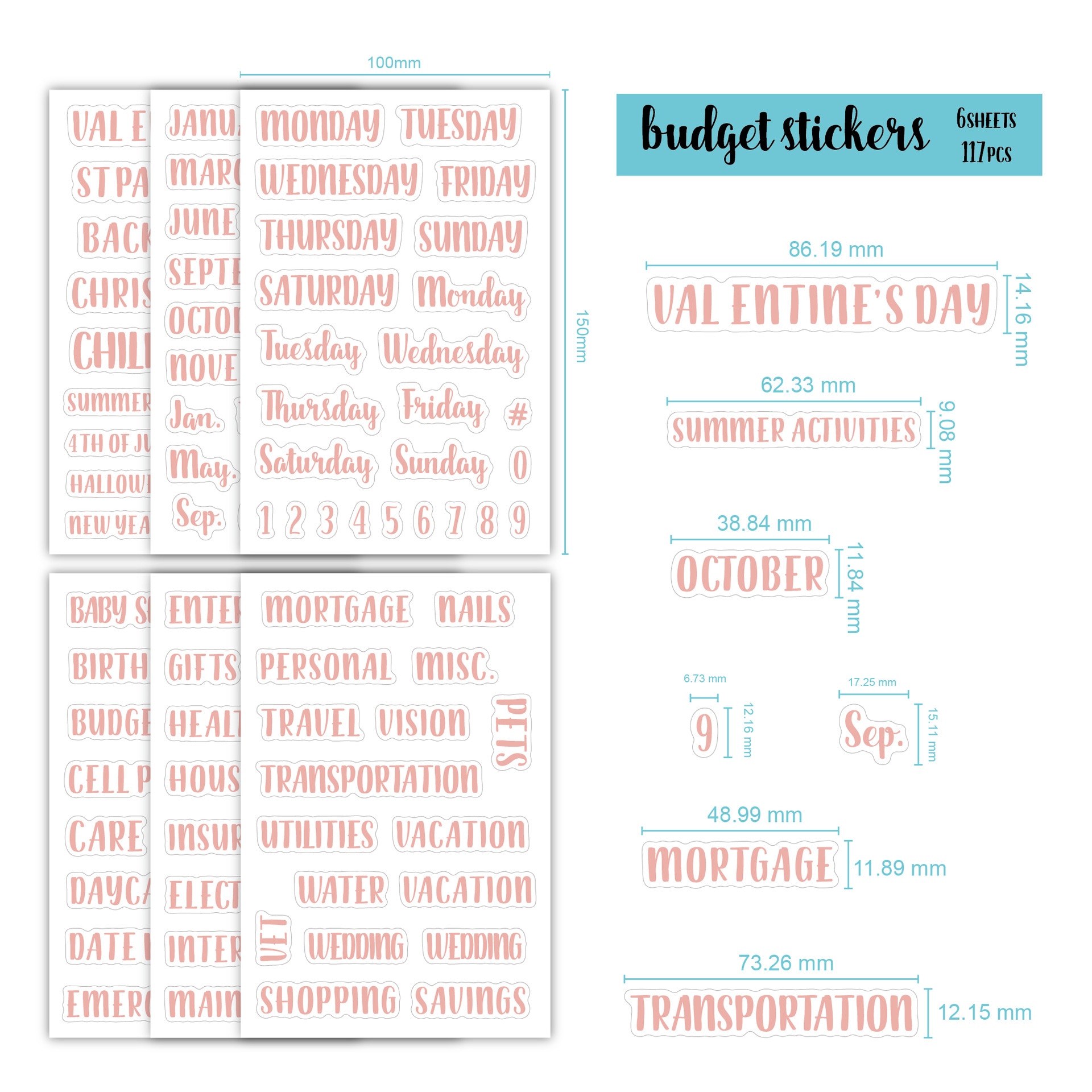 117pcs Rose Gold Budget Stickers Clear Label Stickers for Cash Envelopes Monthly Planners Bills Coupon Savings Money Organizer