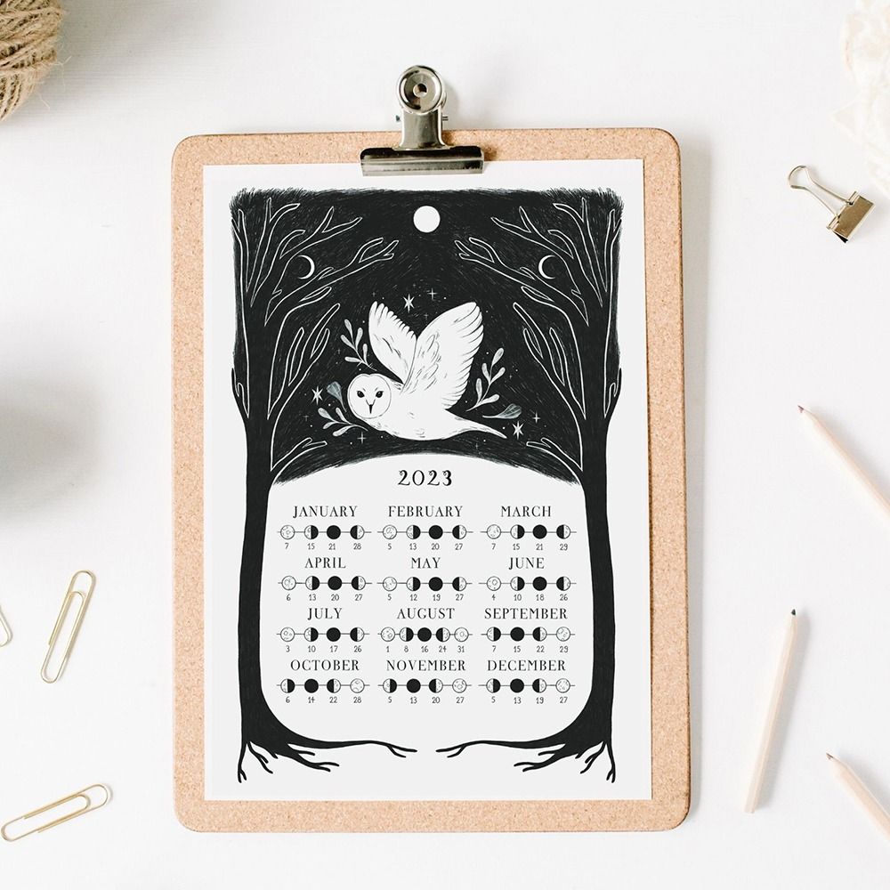Creative Gag Gift Home Decoration Healing Ornament New Year Gifts Owl Poster Calendar Calendar For Friends